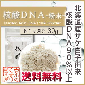 核酸DNA 30g 粉末タイプ 