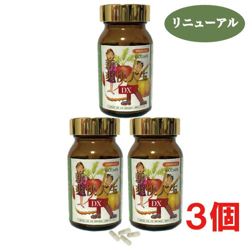 新・爽快人生DX 60粒×3箱