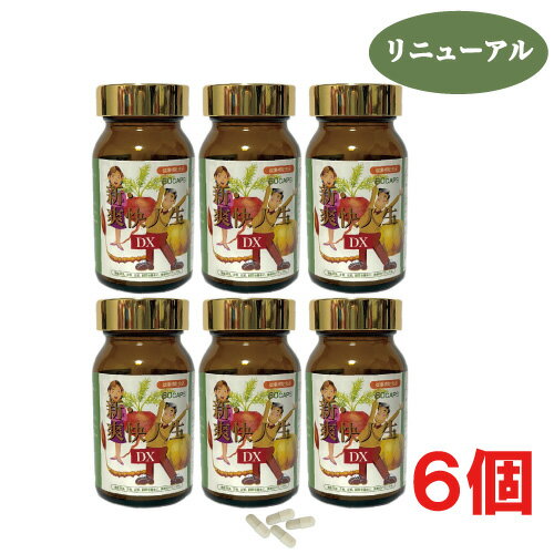 新・爽快人生DX　60粒×6箱