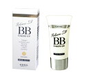 トキワSF BBクリームUV 1個