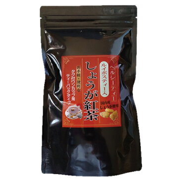 【お得な10個セット】しょうが紅茶 2g×20包 (40g) ルイボスティー入り♪【健康茶】