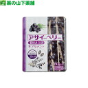 【メール便なら送料無料】アサイーベリー DHA入り 60粒【栄養機能食品（ビタミンA 亜鉛）】