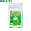 【送料無料】ノコギリヤシ+亜鉛 62粒 亜鉛含有 ノコギリヤシ 亜鉛