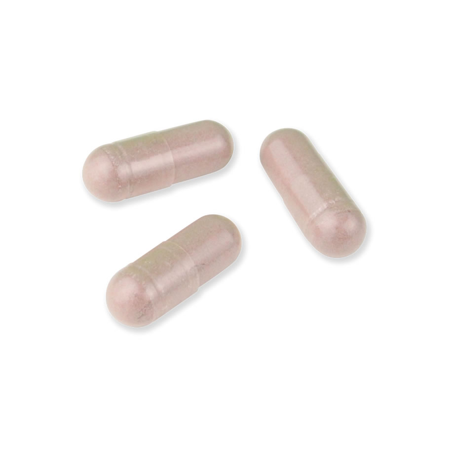 �參���ץꡡL-���ȥ�����ȥ�󥹥쥹�٥�ȥ����� 120γ