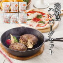 淡路島ハンバーグセット 送料無料 お歳暮 御中元 記念品 お中元 ギフト 夏ギフト