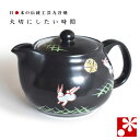 九谷焼 ポット 急須(茶こし 網付き) 月うさぎ( 陶器 妻 誕生日 プレゼント ギフト お祝い おしゃれ 人気 )