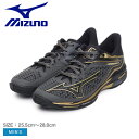 《アイテム名》 ミズノ テニスシューズ MIZUNO メンズ ウエーブエクシードツアー 6 AC 10th 61GA2476 《アイテム説明》 ミズノより「ウエーブエクシードツアー 6 AC 10th」です。軽さと動きやすさを兼ね備えたWAVE EXCEED TOURシリーズ10周年記念モデルです。軽くて動きやすいシューズを求めるプレーヤーや、球際を攻めてもブレない安定感も求めるプレーヤーに履いてほしい一足となっています。 《カラー名/カラーコード/管理No.》 Dグレー×ゴールド×ブラック/52/"16667085" メーカー希望小売価格はメーカーサイトに基づいて掲載しています。 製造・入荷時期により、細かい仕様の変更がある場合がございます。上記を予めご理解の上、お買い求め下さいませ。 関連ワード： スニーカー 靴 シューズ スポーツ 運動 ジム 軽量 軽い 加速性 ブランド シンプル テニス オールコート ブラック 黒 ゴールド 金 ZSPO date 2024/03/25Item Spec ブランド MIZUNO ミズノ アイテム テニスシューズ スタイルNo 61GA2476 商品名 ウエーブエクシードツアー 6 AC 10th 性別 メンズ 原産国 Vietnam 他 素材 アッパー：合成繊維＋合成樹脂アウトソール：合成底 重量 片足：26.0cm 約 318g 商品特性1 オールコート用 商品特性2 ミズノエナジーインソール(取り外し可) 着用時のサイズ感 細身、普通の方 標準サイズ 甲高、幅広の方 1サイズ大きめ こちらのアイテムの足入れは標準です。 ※上記サイズ感は、スタッフが実際に同一の商品を着用した結果です。 スタッフ着用の為、個人差があります。参考としてご確認ください。 サイズについて詳しくはこちらをご覧下さい。 当店では、スタジオでストロボを使用して撮影しております。商品画像はできる限り実物を再現するよう心掛けておりますが、ご利用のモニターや環境等により、実際の色見と異なる場合がございます。ご理解の上、ご購入いただけますようお願いいたします。