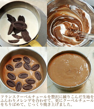 感激!濃厚 ショコラ が ふんわり 溶けてゆく!欧菓子KUTSUMI極上 チーズケーキクツミ ショコラフロマージュ 15センチ