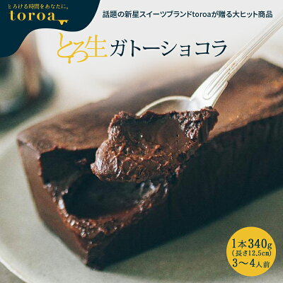 toroa とろ生 ガトーショコラ 1本 340g 送料無料 チョコレートケーキ 洋菓子 高級 父の日 スイーツ ギフト 常温商品との同梱不可