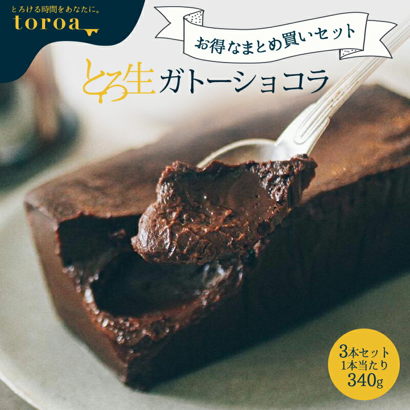 とろ生ガトーショコラ 3本セット 送料無料 チョコレートケーキ 誕生日 プレゼント 高級 お取り寄せ スイーツ ギフト 洋菓子 グランプリ テレビ toroa 【常温商品との同梱不可】