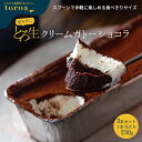 切らずにとろ生クリームガトーショコラ（230g）3本セット 送料無料 チョコレートケーキ 誕生日 高級 お取り寄せ スイーツ ギフト 洋菓子 グランプリ テレビ toroa