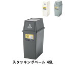 【値下げ】スタッキングペール 45L 幅28 奥行45 高さ67cm ペール ダストボックス ごみ箱 ゴミ箱 おしゃれ インテリア