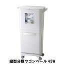 【楽天スーパーSALE10%OFF】縦型分類 ワゴンペール 45 幅40 奥行34 高さ80cm ペール ダストボックス ごみ箱 ゴミ箱 おしゃれ インテリア(3)