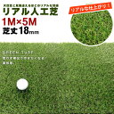 【ポイント5倍 02/21 13:00-03/05 09:59】人工芝 1×5m リアル 芝の長さ：18mm 芝生 人工芝 ロール 人口芝 人口 人工 芝 ガーデン 庭 ガーデニング ベランダ ロール リアル 本物 緑 みどり 緑化 屋上緑化 屋上 屋外 外 室内 マット ラグ