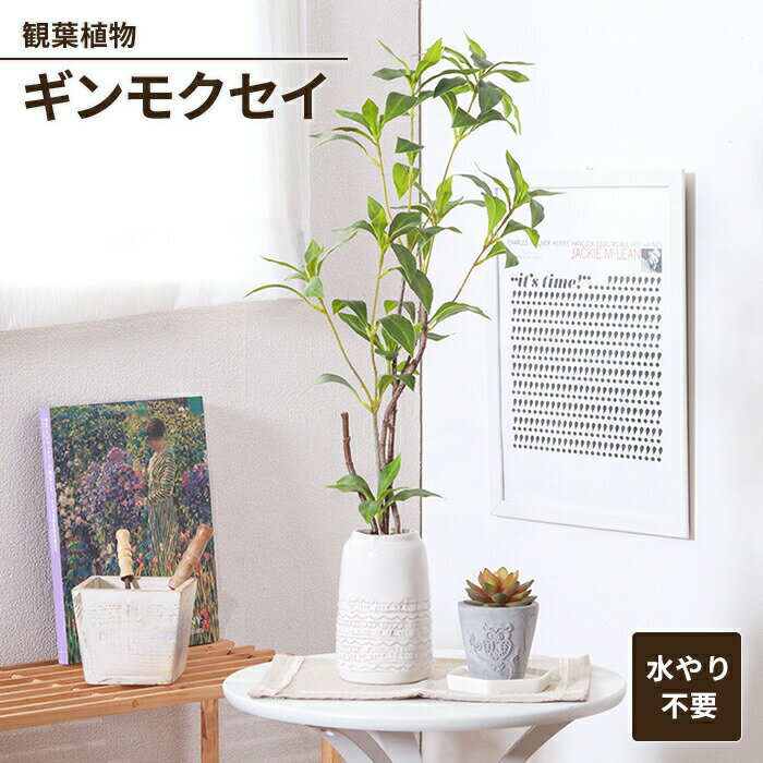 フェイクグリーン 観葉植物 人工観葉植物 ギンモクセイ セラミックポット 卓上 インテリアガーデン 手入れ不要 おしゃれ 人工植物