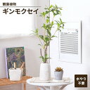 【値下げSALE】フェイクグリーン 観葉植物 人工観葉植物 ギンモクセイ セラミックポット 卓上 インテリアガーデン 手入れ不要 おしゃれ 人工植物