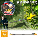 高枝切りバサミ 1.4〜3m 3段式 17段伸縮 高枝切り はさみ キャッチ機能 プッシュカット 押して切る アンビル刃