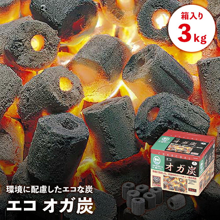 オガ炭 3kg BBQ 炭 燃料 少煙 次世代燃