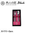 カラトリー 2本 セット コーヒースプーン ヒメフォーク ステンレス おしゃれ 個性的 漆黒 ギフト プレゼント 日本製 燕製品