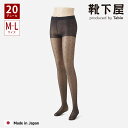 【全品送料無料&ポイント5倍〜5/6 23:59迄】【公式 靴下屋】 クリアー ドット柄 ストッキング M〜L / 靴下 タビオ Tabio くつ下 母の日ギフ...