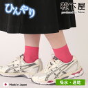 【公式 靴下屋】 冷感 ドライ 薄手 メッシュ ショートソックス / 靴下 タビオ Tabio くつ下 薄手 ショート ソックス くるぶし上 吸水 速乾 夏 涼感 夏用 白 黒 グレー レディース 日本製