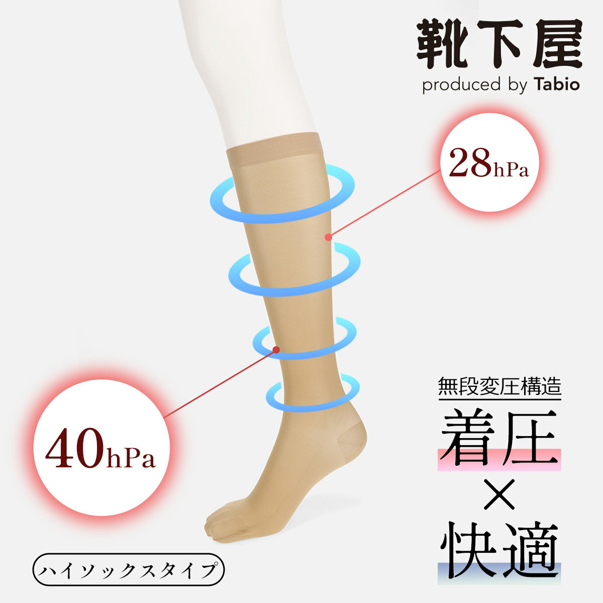 ڤڡۡڸ TABIO LEG LABO   ϥå L 饹2 2426cm /   ӥ Ĳ ϥ å 尵 ̰ŵ L 礭 ǥ  