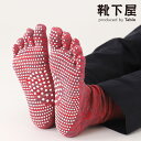 【公式 TABIO LEG LABO】 New 綿 五本指 ツボ押し ソックス Mサイズ / 靴下屋 靴下 タビオ くつ下 母の日ギフト つぼ押し マッサージ ...