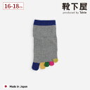 【公式 靴下屋】 キッズ 指先 レインボー 五本指ソックス 16〜18cm / 靴下 タビオ Tabio くつ下 5本指靴下 五本指 クルー ソックス 子ども ...