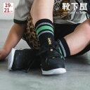 【公式 靴下屋】 キッズ 19-21) サンドイッチライン ソックス 19~21cm / 靴下 タビオ Tabio くつ下 子供 クルー ジュニア ライン キッズ 日本製