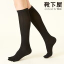 【全品送料無料&ポイント5倍~7/1 23:59迄】【公式 TABIO LEG LABO】 綿 五本指 着圧 ハイソックス 24~26cm / 靴下屋 靴下 タビオ くつ下 L 大きいサイズ サポート 5本指 5本指靴下 五本指靴下 5本指ソックス 五本指ソックス ハイ レディース 黒 日本製