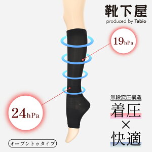 ڸ TABIO LEG LABO  尵 ݡ (ץȥ) /   ӥ Ĳ 100ǥˡ ǥ  ץ쥼 