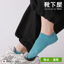 【全品送料無料~7/11 23:59迄】【50%OFF】【公式 靴下屋】 ドライ シード ステッチ スニーカー用ソックス / 靴下 タビオ Tabio くつ下 スニーカー ソックス くるぶし 吸水 速乾 スポーティー 鹿の子 メッシュ 白 黒 レディース 日本製 2506sl
