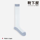 【公式 靴下屋】 カラー チュール 透け ハイソックス / 靴下 タビオ Tabio くつ下 ハイ ソックス ひざ下 綿混 シースルー シアー 透け感 薄手 レディース 日本製
