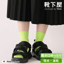 【公式 靴下屋】 ドライ 無地 ショートソックス / 靴下 タビオ Tabio くつ下 しめつけない 薄手 ショート ソックス くるぶし上 履き口ゆったり 吸水 速乾 無地 白 黒 春 夏 レディース 日本製