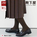【公式 靴下屋】 ヘリンボーン タイツ M〜L / 靴下 タビオ Tabio くつ下 母の日ギフト 250デニール カジュアル クラシック モダン ヘリンボン ...