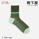 【全品送料無料&ポイント5倍~7/15 23:59迄】【公式 Tabio】 メンズ JQ カラー ショット リブ ショートソックス 27~29cm / 靴下屋 靴下 タビオ くつ下 ショート ソックス くるぶし上 L 大きいサイズ 華やか 綿混 カジュアル 黒 紳士 日本製