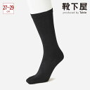 【全品送料無料★～4/29 23:59迄】【あす楽】【公式 TABIO SPORTS】 for ビジネス 五本指ソックス 27～29cm / 靴下屋 靴下 タビオ タビオスポーツ Tabio くつ下 メンズ ソックス L 大きいサイズ 消臭 吸水 速乾 デオドラント ビジネスソックス 5本指 黒 日本製