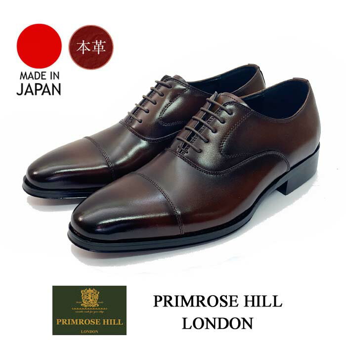 プリムローズヒル PRIMROSE HILL LONDON 1511 ダークブラウン 紳士靴 ビジネスシューズ ストレートチップ 就活 リクルート本革 日本製