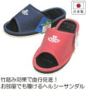 Dorian健康サンダル スリッパ 竹踏み 足つぼ 日本製 ドリアン レディス No.11101B 室内 ベランダ 軒先(4)
