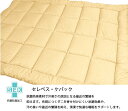 制菌加工掛布団 145×195cm【SEK】【ふとん】【掛ふとん】【寝具】【耐久性】
