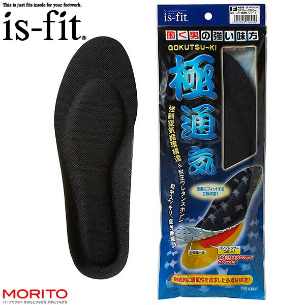 is-fit イズフィット 極通気 インソール 男性用 通気