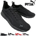 【全商品ポイント5倍⇒4/27(土)9:59迄】 プーマ puma スニーカー 371128 アンザランライト 22cm～29cm メンズ レディース ジュニア キッズ スニーカー シューズ 運動靴 紐靴 プーマ371128