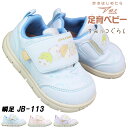 【エントリーでポイント5倍⇒7/11(金)1:59迄】 瞬足 しゅんそく 足育 ベビースニーカー すみっコぐらし靴 JB113 SJB1130 サックス ピンク ラベンダー 12.5cm~15cm ベビー キッズ シューズ スニーカー 子供靴 赤ちゃん靴 マジックテープ ゆったり アキレスJB-113 JB 113
