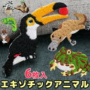 6枚入 アイロンワッペン 可愛いエキゾチックアニマル 高クオリティ 刺繍ワッペン ワンポイント ツノガエル ヒョウモントカゲモドキ レッサーパンダ カメレオン ...