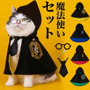 魔法学校の制服みたい 丸めがね マント ネクタイ 全部セット ペット服 魔法使い フード付きマント タイ 眼鏡 ペット用めがね 学生 コスプレ ハロウィン 撮影 映え 猫 犬 猫服 犬服