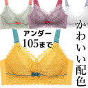 アンダー105まで 可愛いカラーリング バイカラー ホールド 大きなバストを目立たせない 小さく見せるブラ 補正下着 大きいサイズ ノンワイヤー E Fカップ ソフトカップ 胸元カバー スポーツブラ 幅広ストラップ 肩凝り防止 アンダー100 送料無料