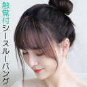 触覚付き ワンタッチで簡単 前髪ウィッグ 自然 耐熱 前髪 エクステ ワンタッチ 部分ウィッグ つけ毛 シースルーバング 部分ウイッグ コスプレ イメチェン イ...