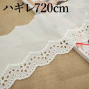 ハンドメイドやリメイクに スカラップレース ハギレ 720cm 11cm幅 小花 花柄 薄地生地 パンチ レース生地 刺繍 生地 布 片スカラップレース 裁縫 ...