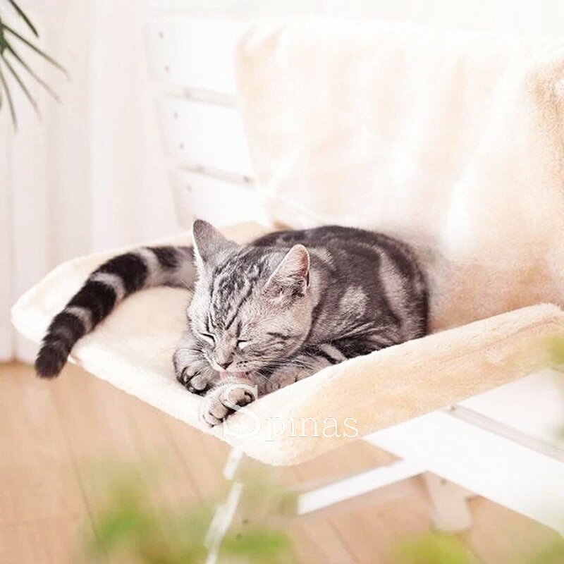 ���äȰ��ä���������� �ϥ��å��٥å� �ͤ��٥å� ɿ�� �磻�䡼 �եå� ���뿲 �٥å� �ޥå� ����å� �ػ� �磻�䡼�եå� �ڥå����� ǭ���� ���ä��� �ϥ��å� ��곰����ǽ �͵� �Ȥ�Ω�ƴ�ñ �ޤ���߼� ������ ��10��