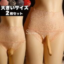 2枚組 大きいサイズ お腹すっぽり総レース クロスジェンダー 女装用 ショーツ パンティ レースショーツ 下着 フラット インナー コスプレ セクシー パンツ ランジェリー ジェンダーレス トランスジェンダー